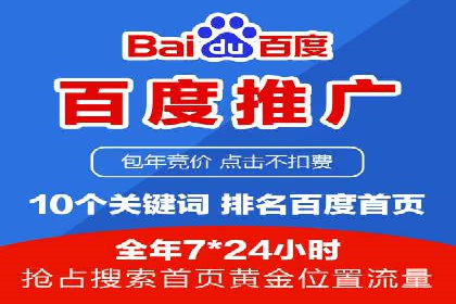 网络推广竞价实战：某电商平台的成功案例